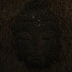 Meet your Posher, Wayne